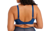 Elomi Charley Underwire  Stretch Plunge Bra Black, Pink, Petrol